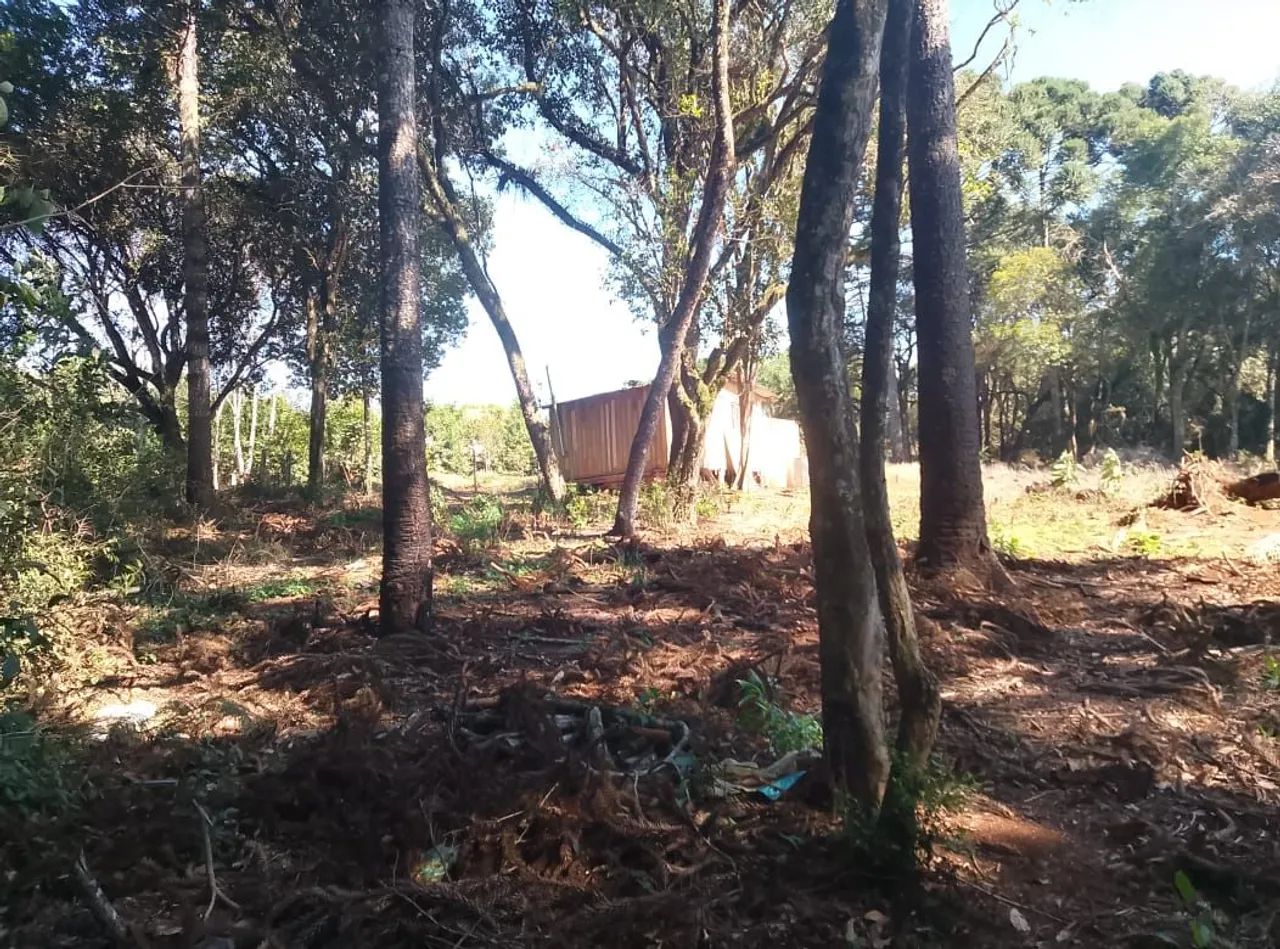 Terreno de esquina  - Foto 3