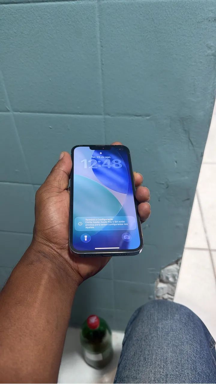 13 pro 