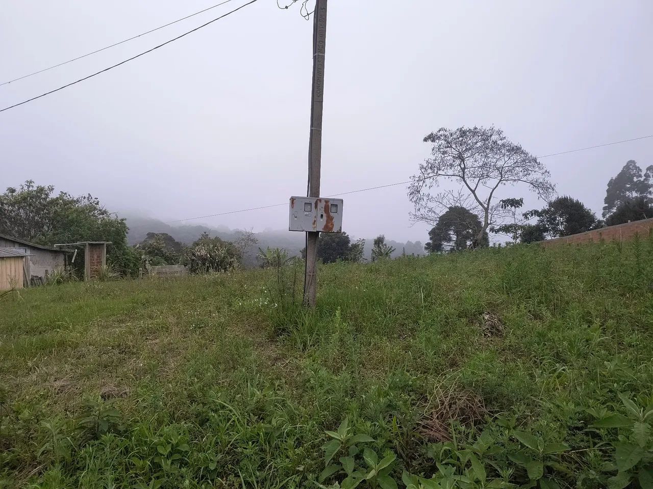Terreno rural com casa - Foto 4