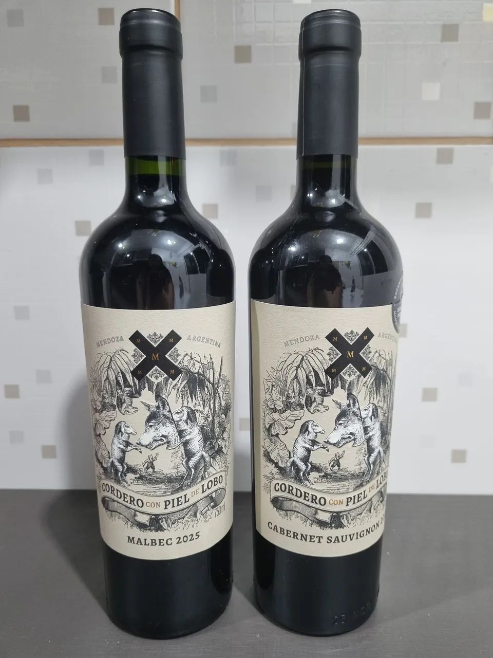 Vinhos Argentinos - Foto 2