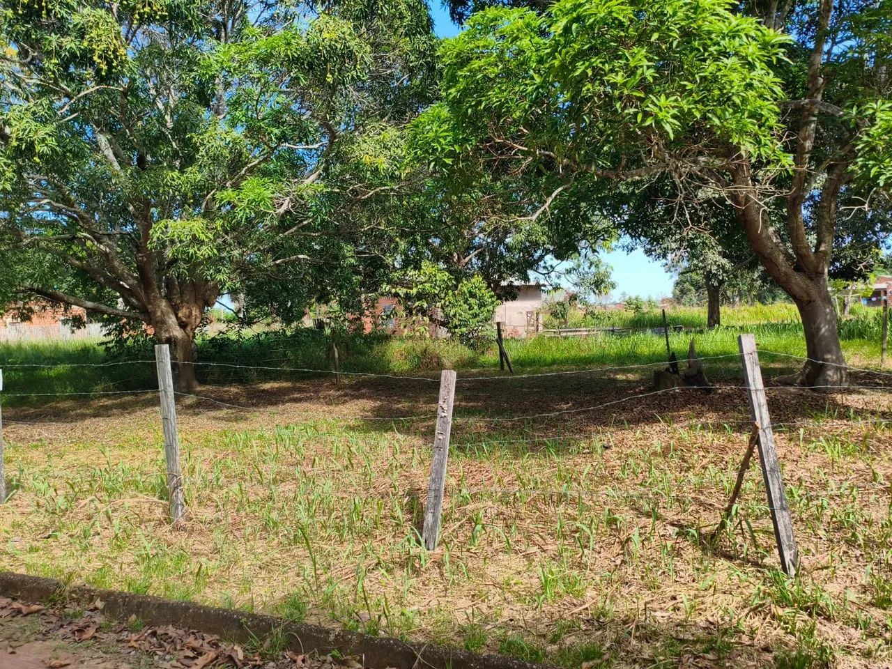 Terreno no ramal Bom Jesus  - Foto 4