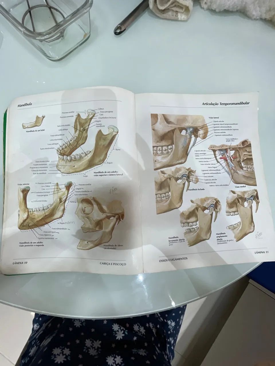 ATLAS DE ANATOMIA HUMANA , FRANK H NETTER, MD - Foto 2