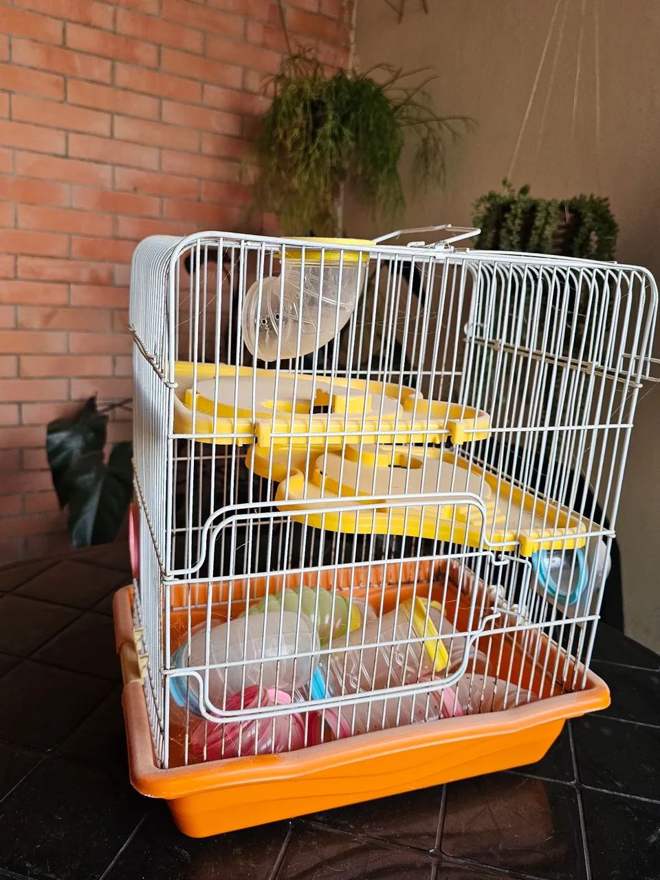 Gaiola hamster tubos (leve duas pelo preço de uma) em JUNDIAÍ. 