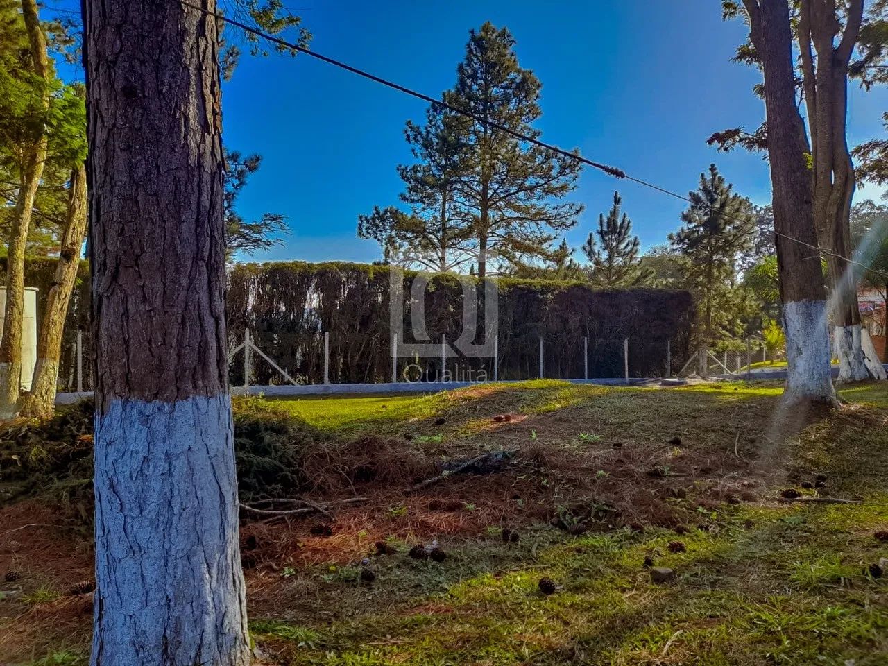 TERRENO À VENDA NO CONDOMÍNIO MONTE VERDE, IBIÚNA, SP - Foto 5
