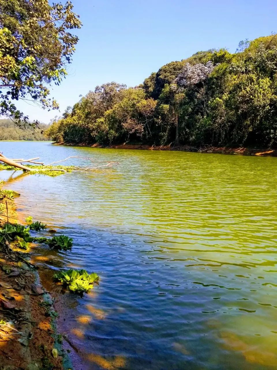 Foto - São Paulo - 