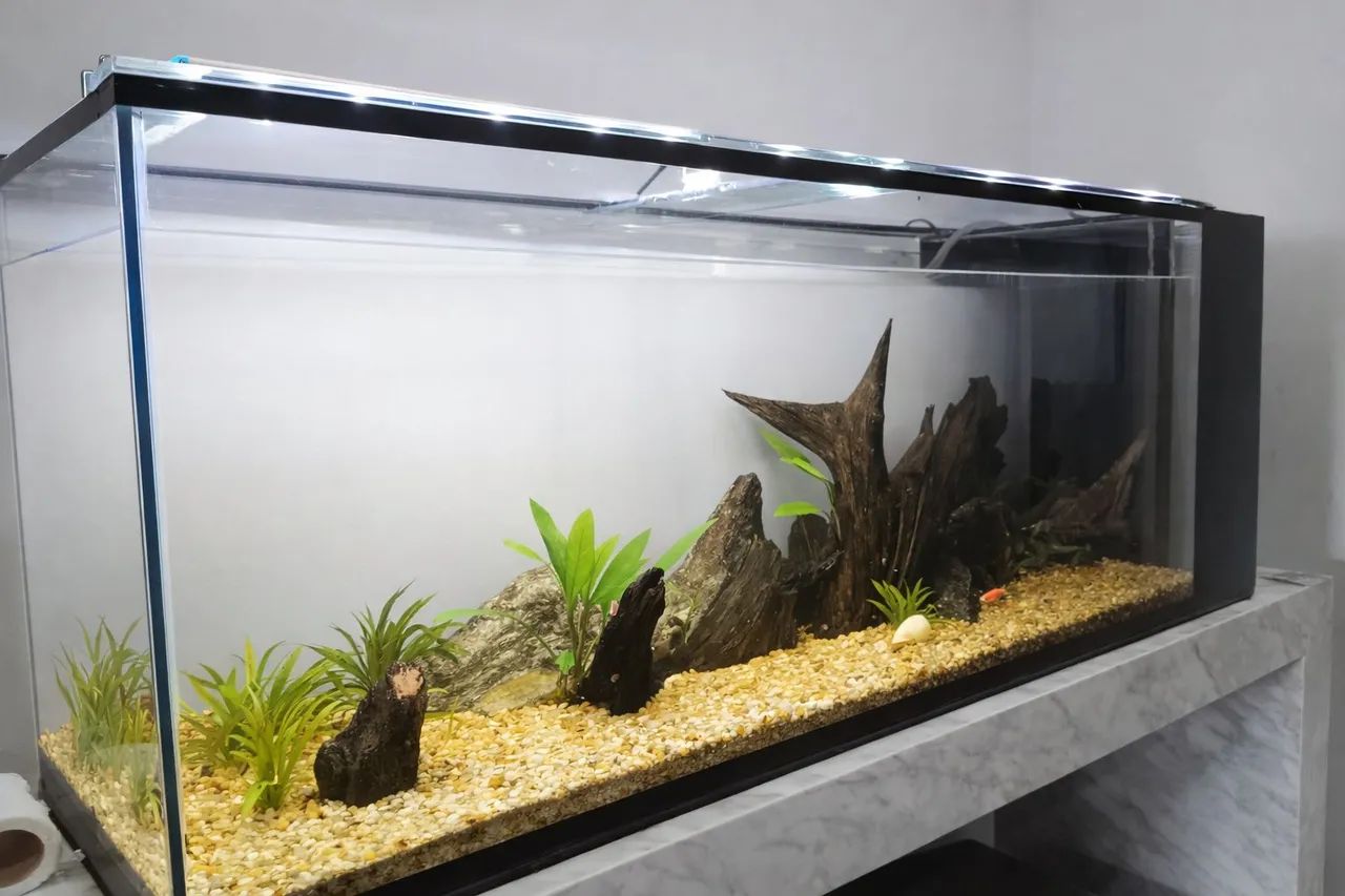 Aquário natural  - Foto 2