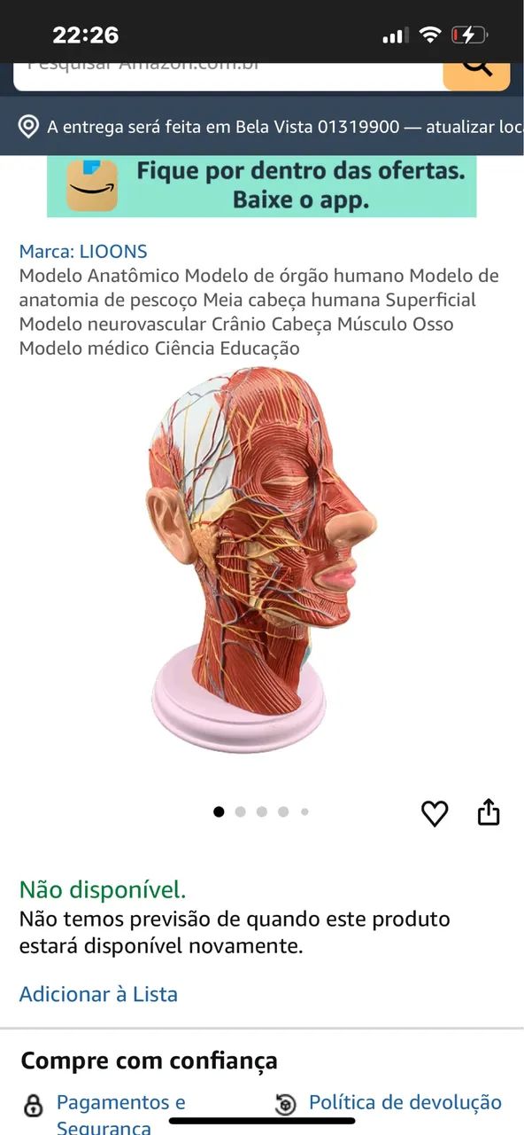 Modelo Anatômico da Cabeça Humana - Educacional - Foto 2