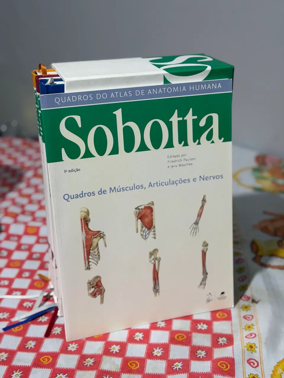 Livro de Anatomia Sobotta 24ª