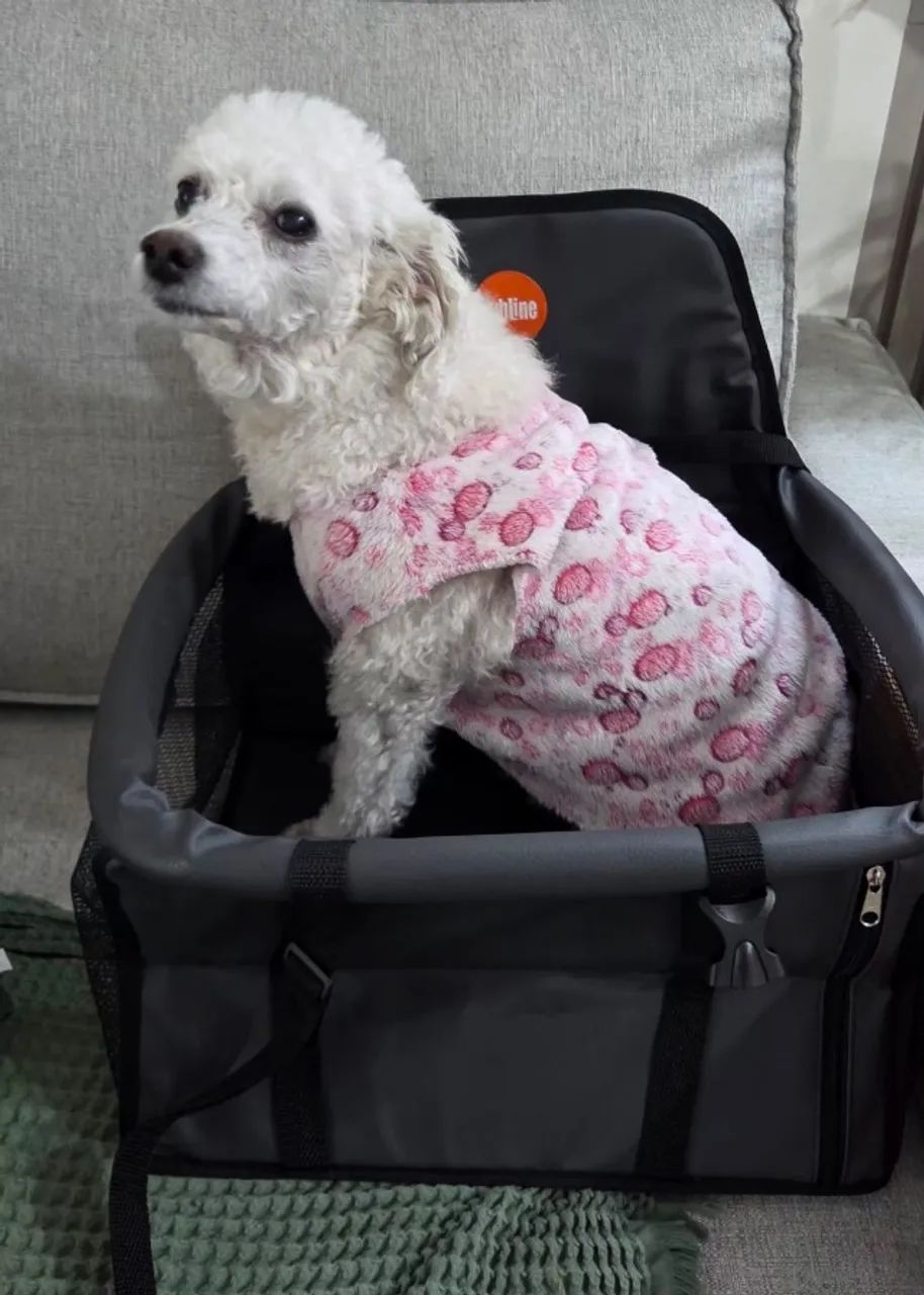 Cadeirinha de pet para carro - Foto 5