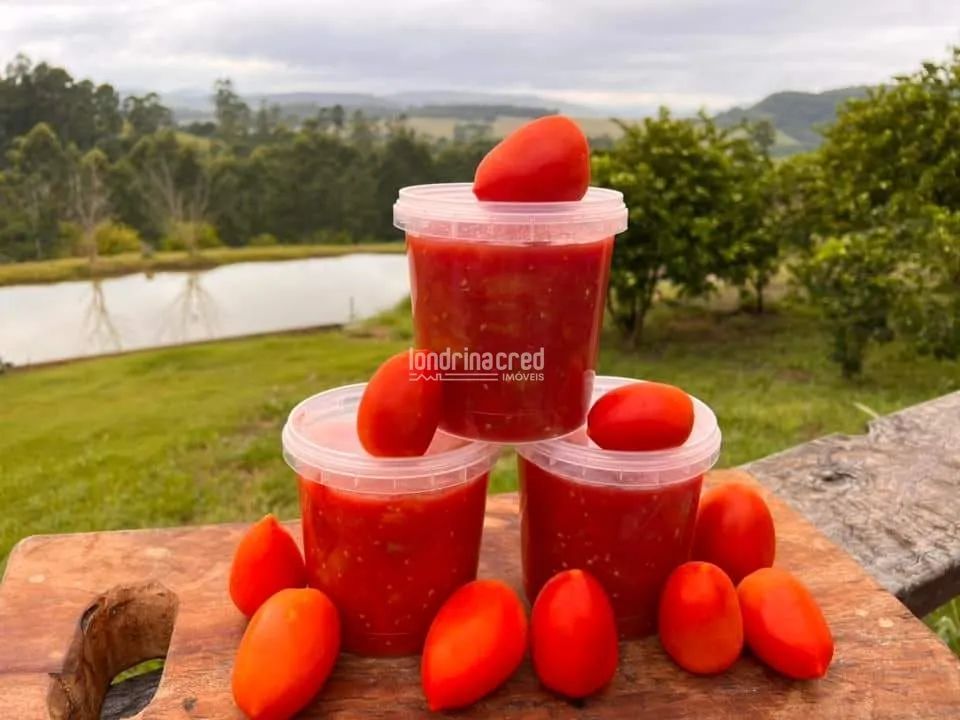 Sítio à venda, RURAL, Tomazina, PR