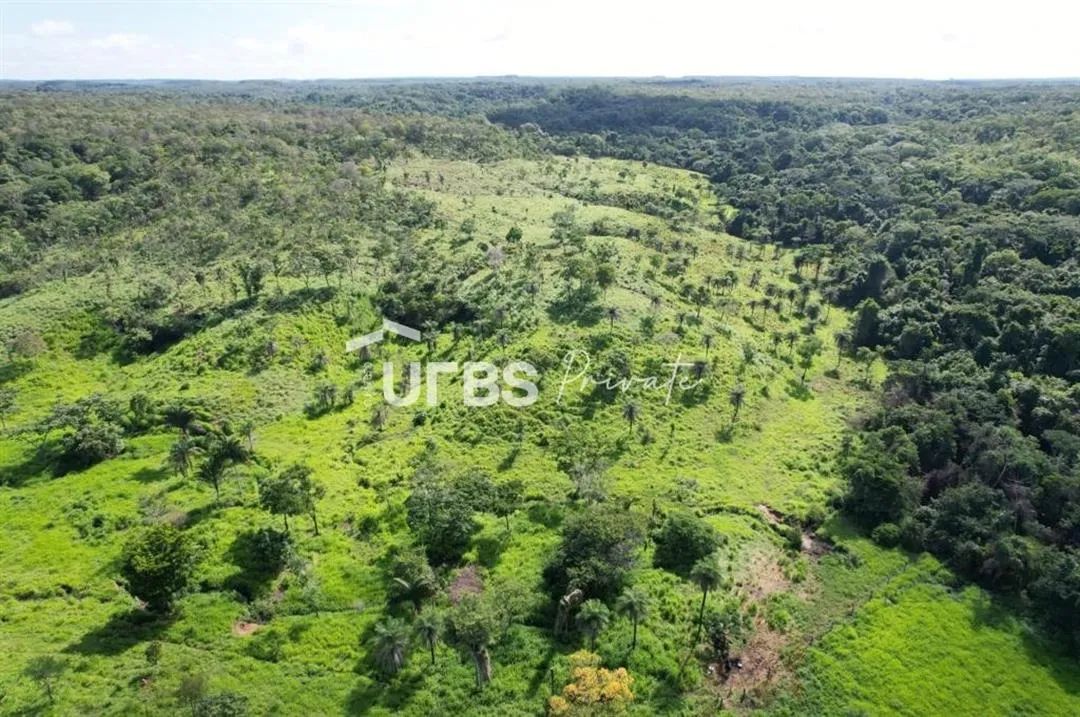 Fazenda - Chácara - Foto 4