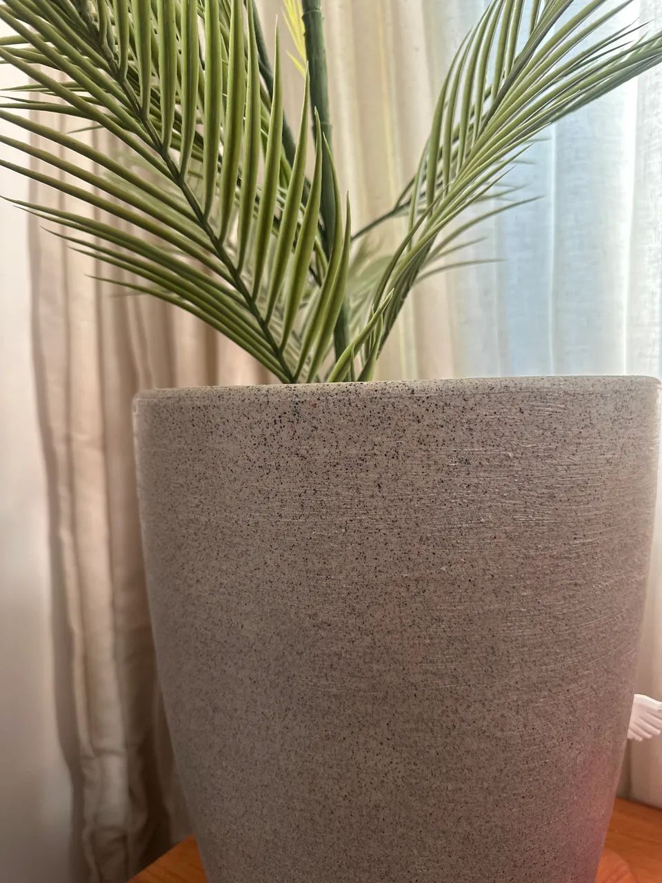 Vendo vaso com planta  - Foto 2