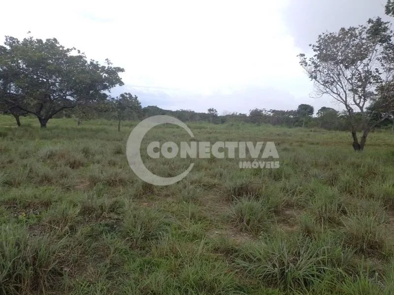 Fazenda - Arraias Tocantins - Foto 5