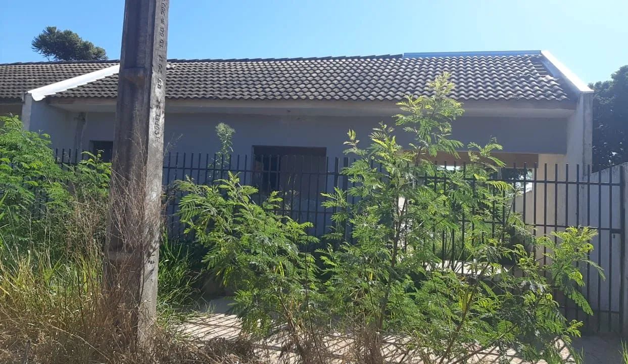 Foto - Mandaguaçu - 