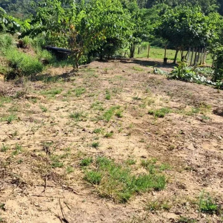 SÍTIO A VENDA em TIJUCAS no Bairro OLIVEIRA  - Foto 5