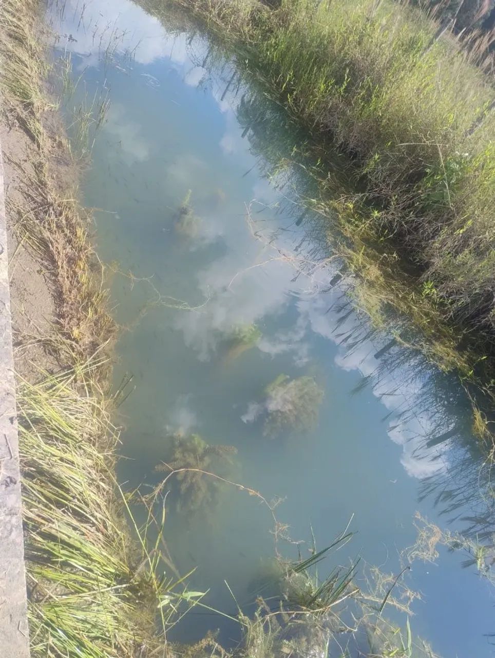 Chácara em Serra Azul - Mateus Leme  - Foto 4