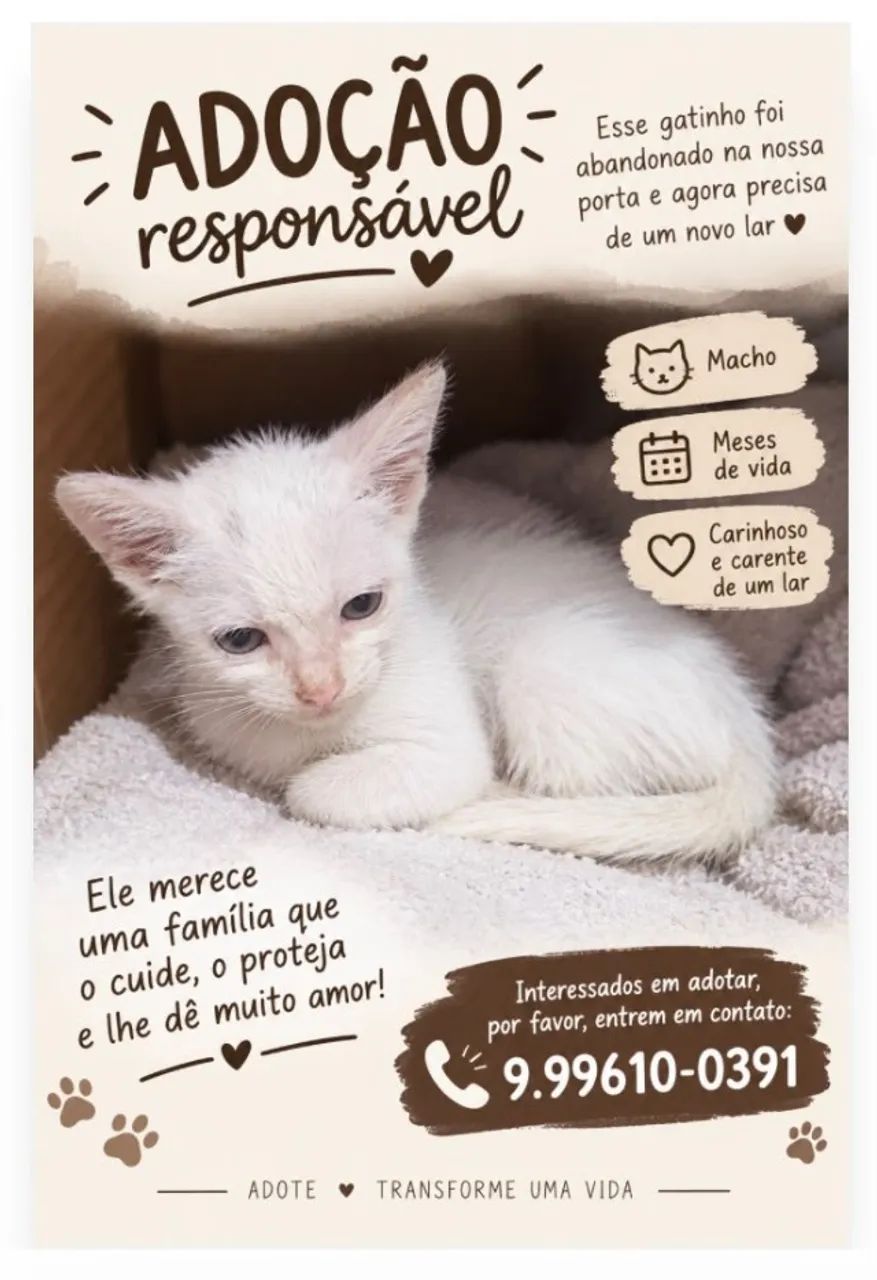 DOAÇÃO GATO - Foto 2