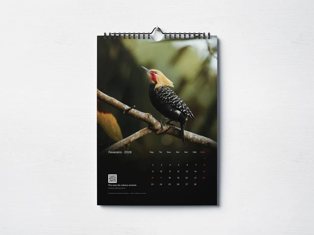 Calendário 2026 Cores da Mata Atlântica (tiragem limitada) - Foto 3