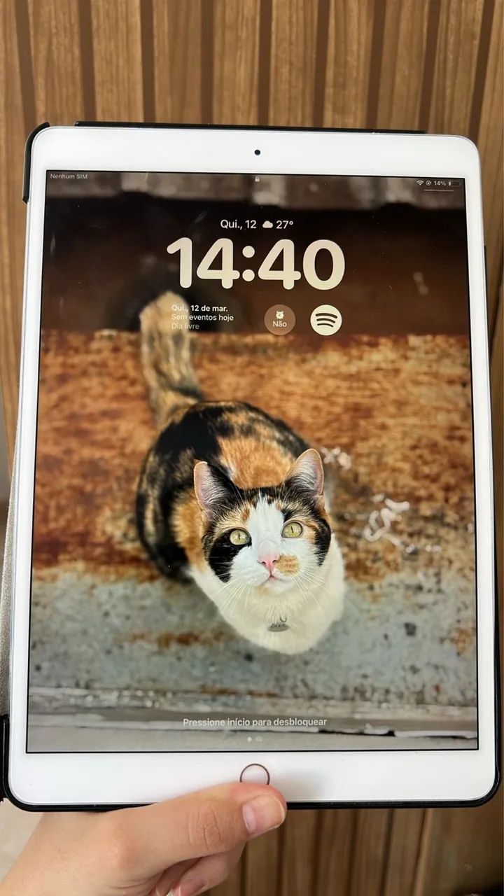 iPadPro10.5インチ Apple Ipad pro 10.5 64Gb completo com mouse e teclado - Tablets e