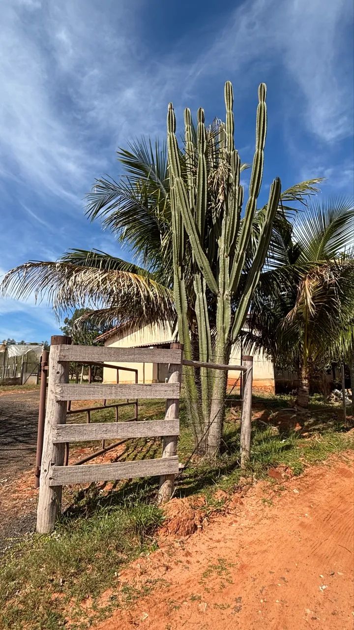 Sitio em Presidente Alves - Foto 2