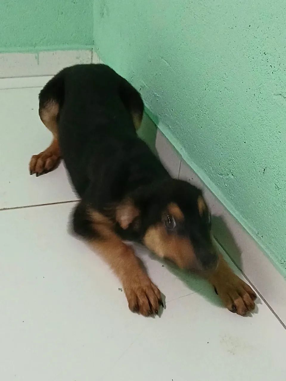 Vende-se  - Foto 2