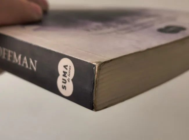 Livro A Mão Esquerda de Deus - Paul Hoffman - Foto 3