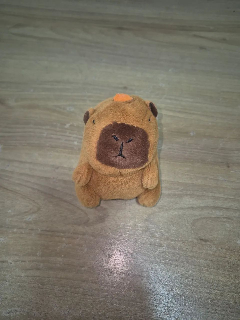 Capivara a corda - Foto 2