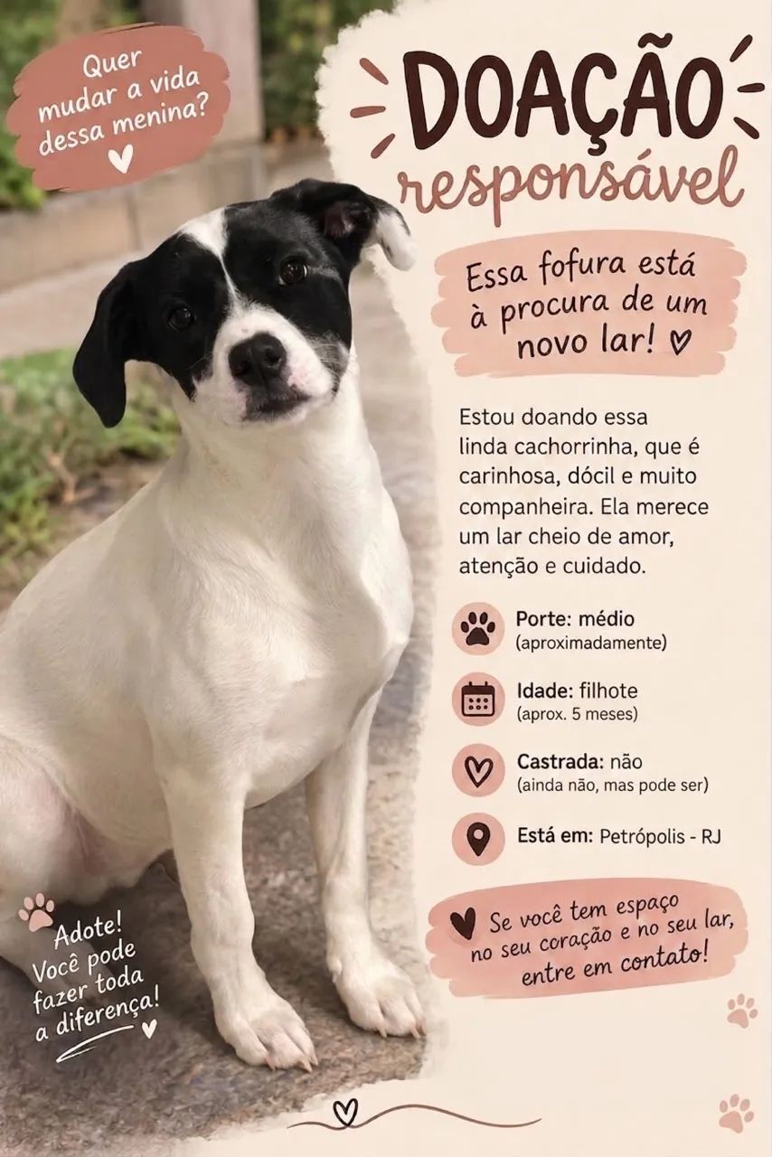 Adoção responsável 
