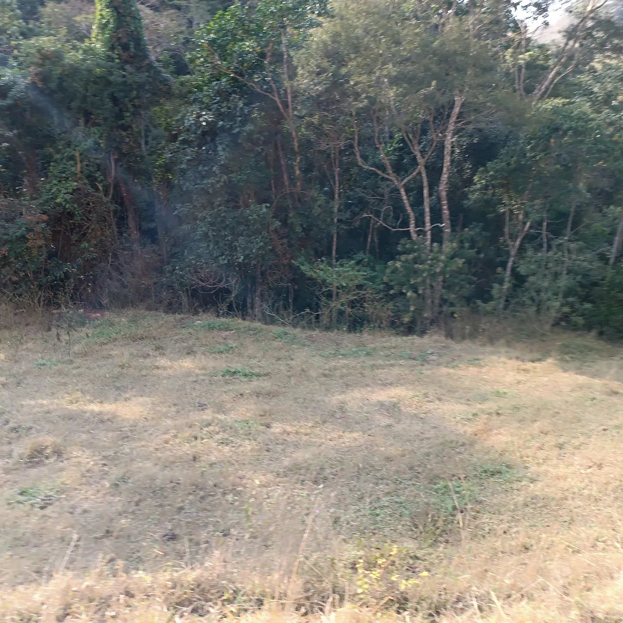 VENDO SITIO 3 ALQUEIRES EM NATIVIDADE DA SERRA ( 4291 ) - Foto 14