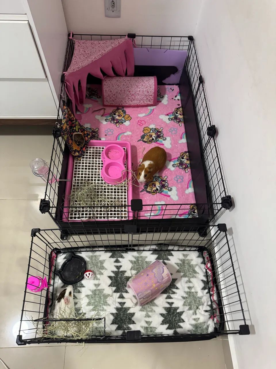 Cercado com porquinho da índia  - Foto 2