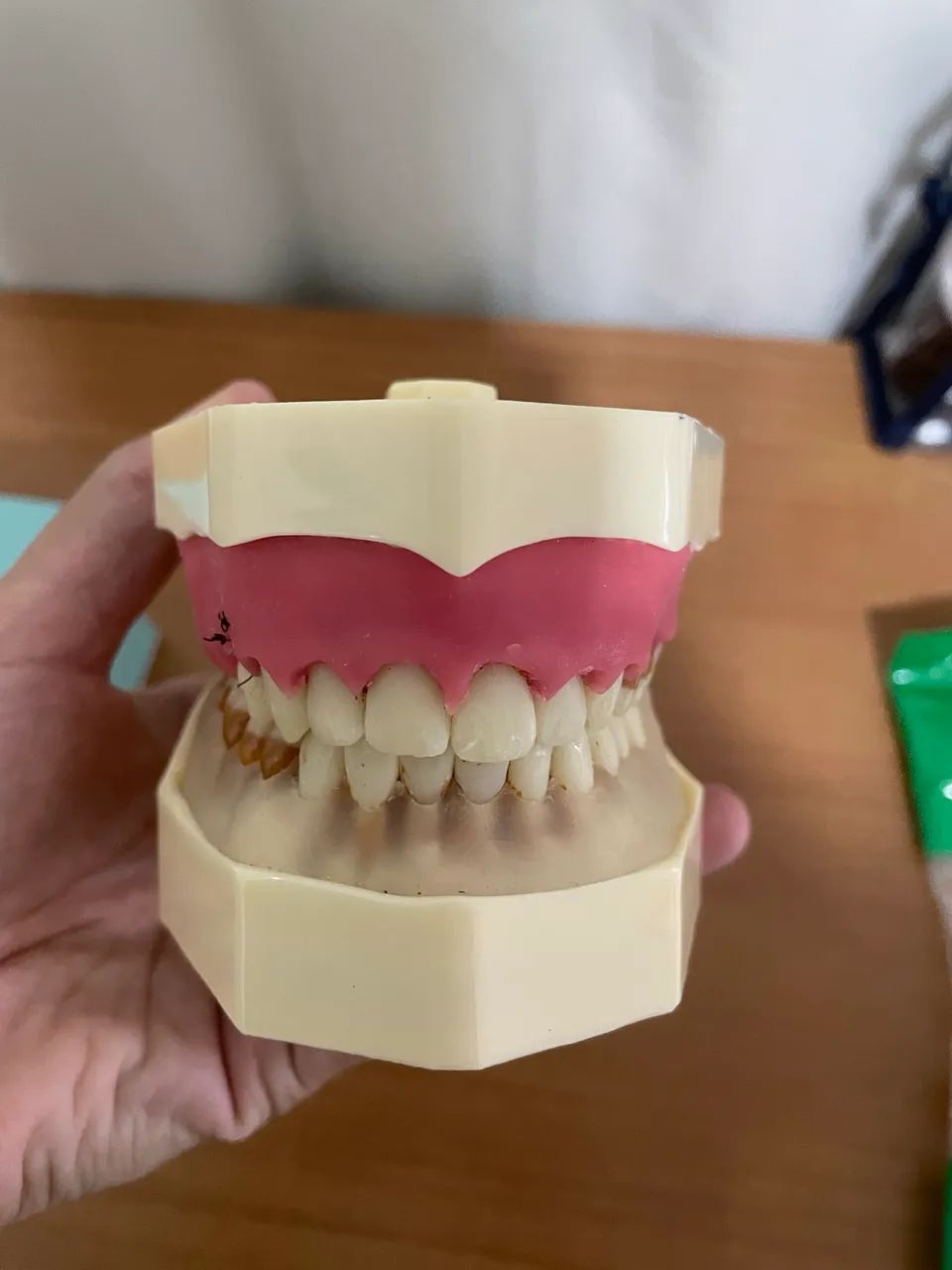 Manequim periodontia orais - Foto 4