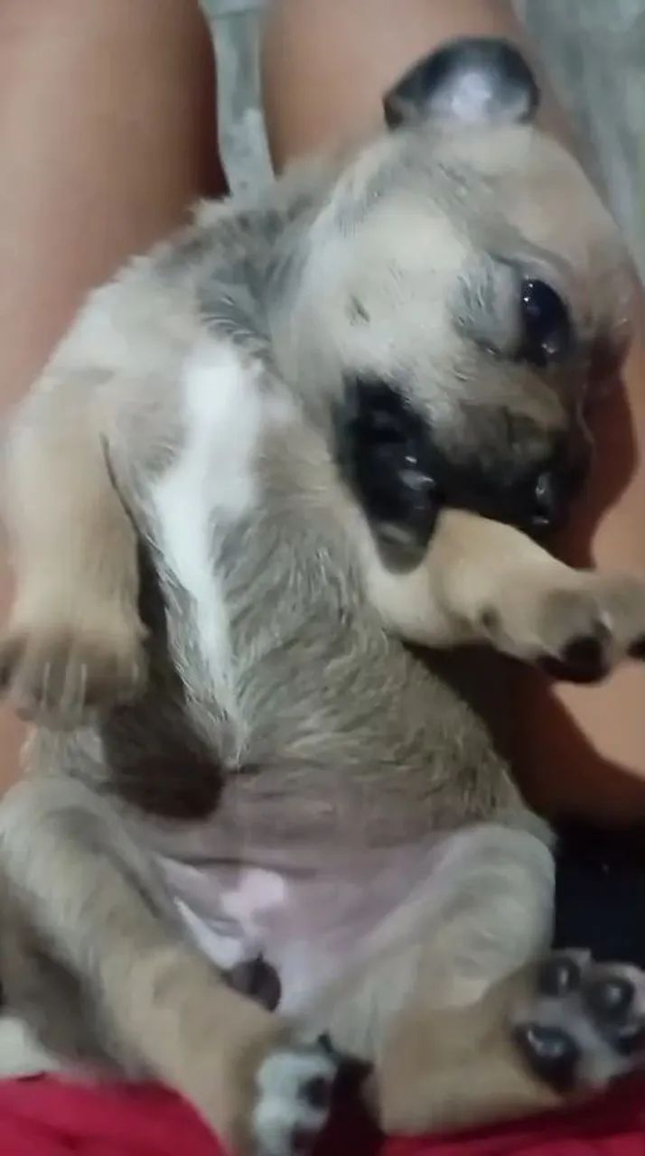 ESTOU DOANDO  - Foto 2