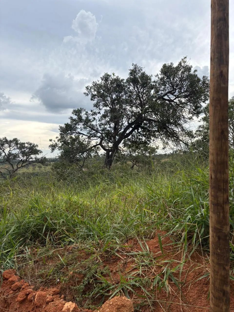Chácaras em jaboticatubas recanto da siriema 2 - Foto 4