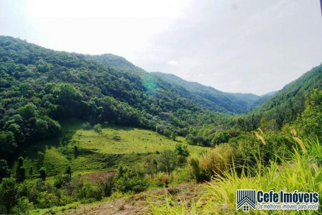 Chácara em Nova Petrópolis RS - Foto 4