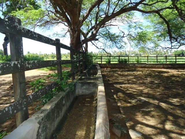 Vendo Fazenda em Ceará Mirim - Foto 6