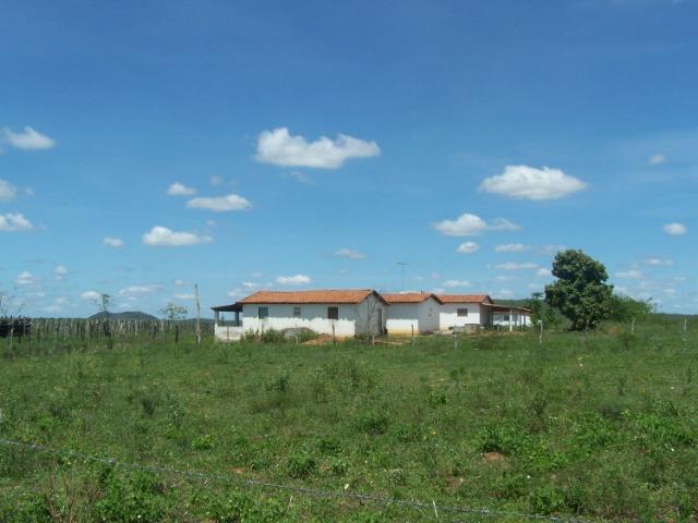 Vendo Fazenda em Poço Branco