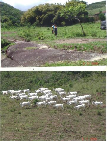 Fazenda 97 Alqs Na Região do Vale do Paraíba SP Negocio de oportunidade - Leia o anúncio