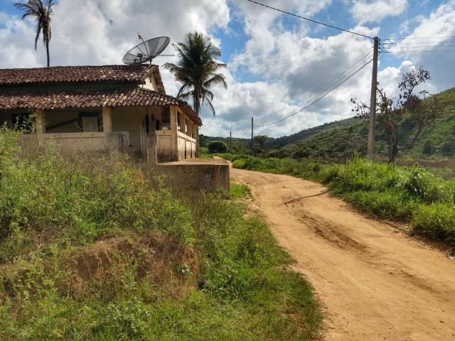 Fazenda com 180 Hectares a 8 km da Pista de Cortês-PE - Foto 2
