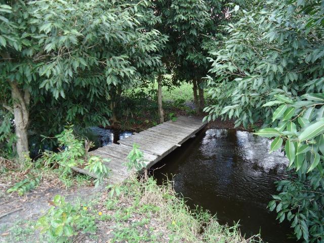 Vendo Fazenda em Ceará Mirim - Foto 18