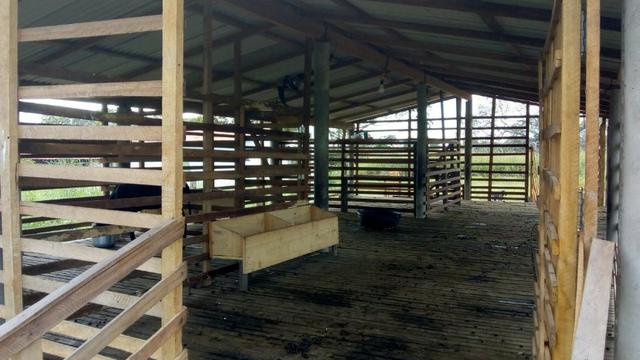 Propriedade Rural/São Gonçalo do Piauí - Foto 9