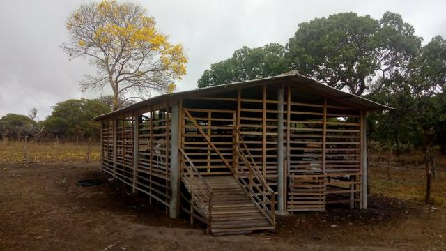 Propriedade Rural/São Gonçalo do Piauí - Foto 10