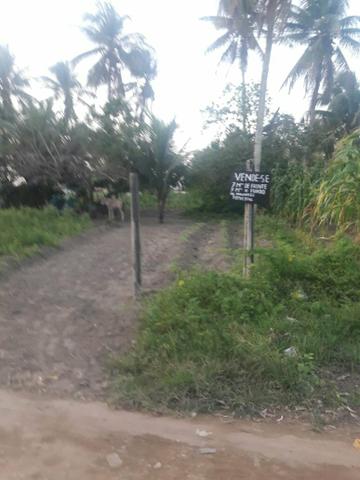 Terreno - Foto 2