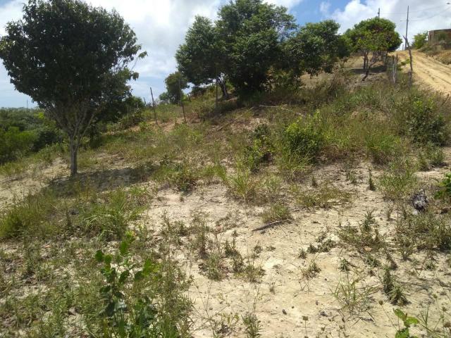 Terreno em Tamandaré! - Foto 4