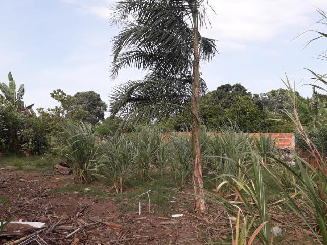 Vende-se uma chácara com 2 casas 2400m2 - Foto 7
