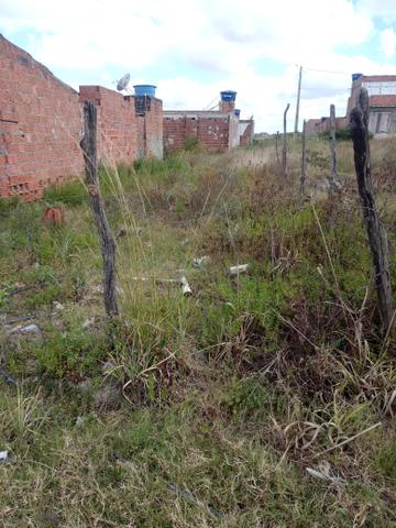 Terreno 8×20 - Foto 3