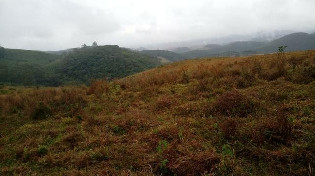 15 alqueires com projeto para 12 sítios - Foto 7