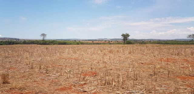 Fazenda em Rio Verde 28 alqueires | 170 mil | Valor de Oportunidades