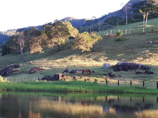 Venda ou arrendamento Excelente Fazenda 540 tarefas em Ubaira