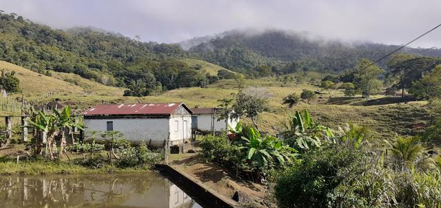 Vendo Fazenda com Pasto e cacau - Foto 6