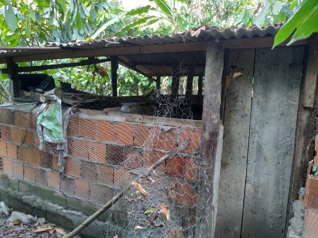 Sítio na Vila Temão - Jitaúna - Foto 8